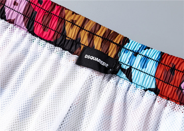 DS2 "Multicolore"