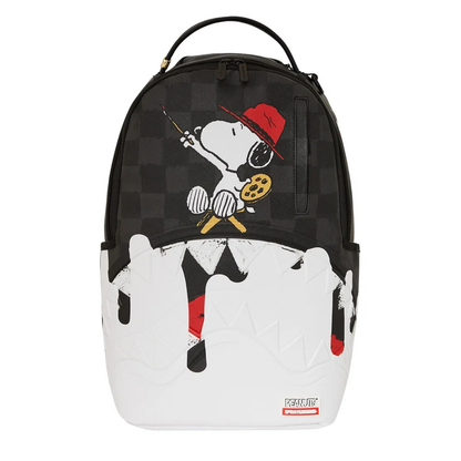 Zaini Sprayground