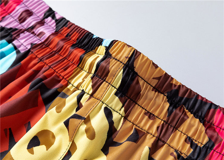 DS2 "Multicolore"